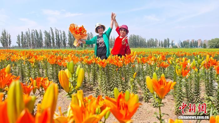 6月23日，新疆生产建设兵团第十二师五一农场的新疆百合基地百余亩花田里，“橙色梦想”“红宝石”等品种竞相绽放，游人如织，观赏期将一直延续至七月底八月初。该场依托百合种植探索产业发展新路，丰富农文旅项目，拓宽民众增收渠道，助力乡村振兴。图为游客打卡百合花田。冯晓玲 摄