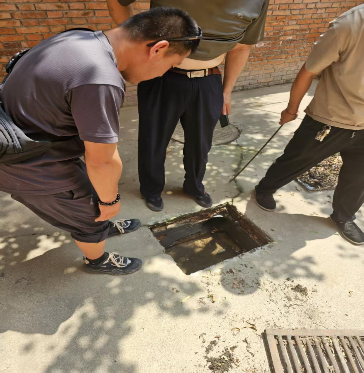 图片1