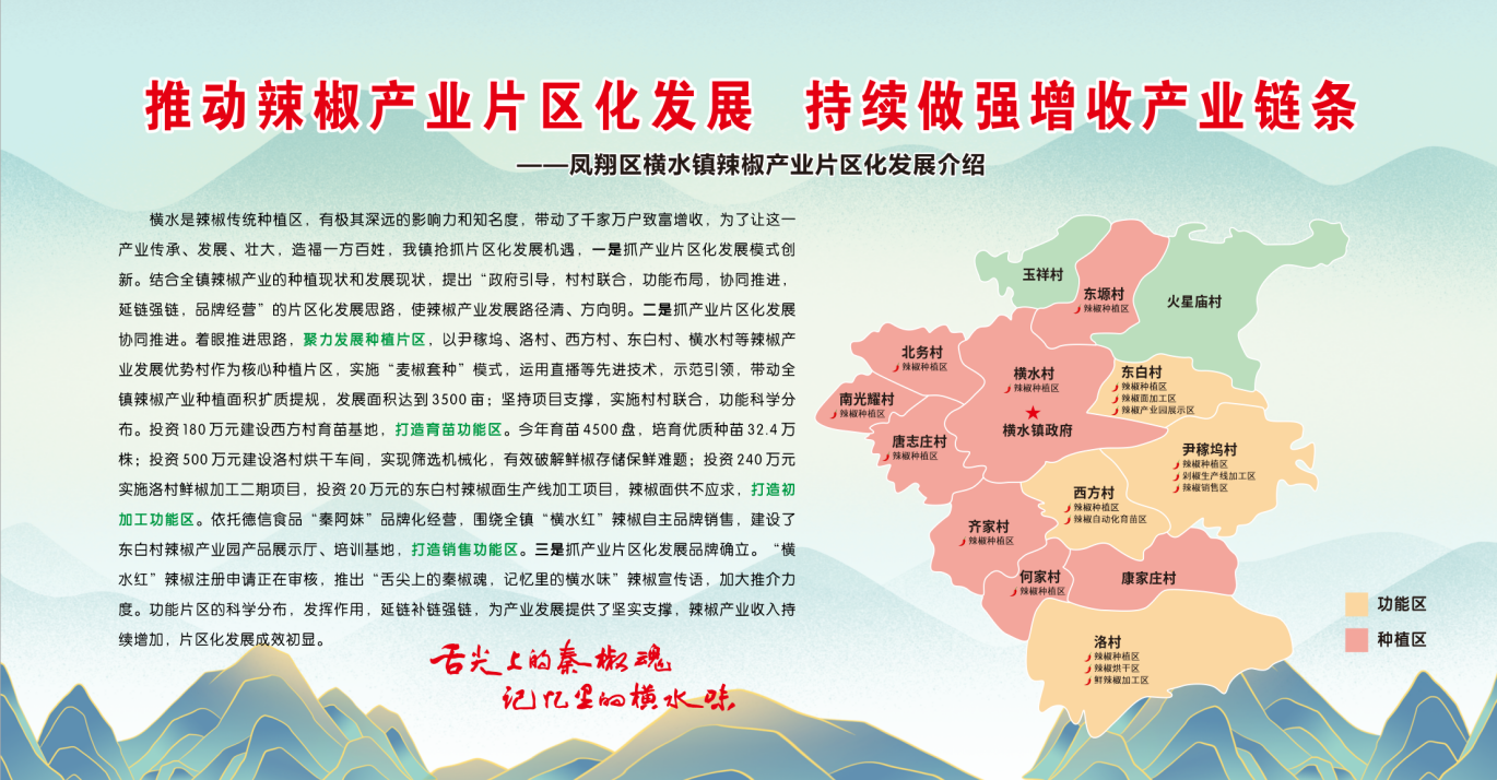 片区化