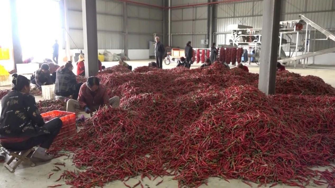 图片3
