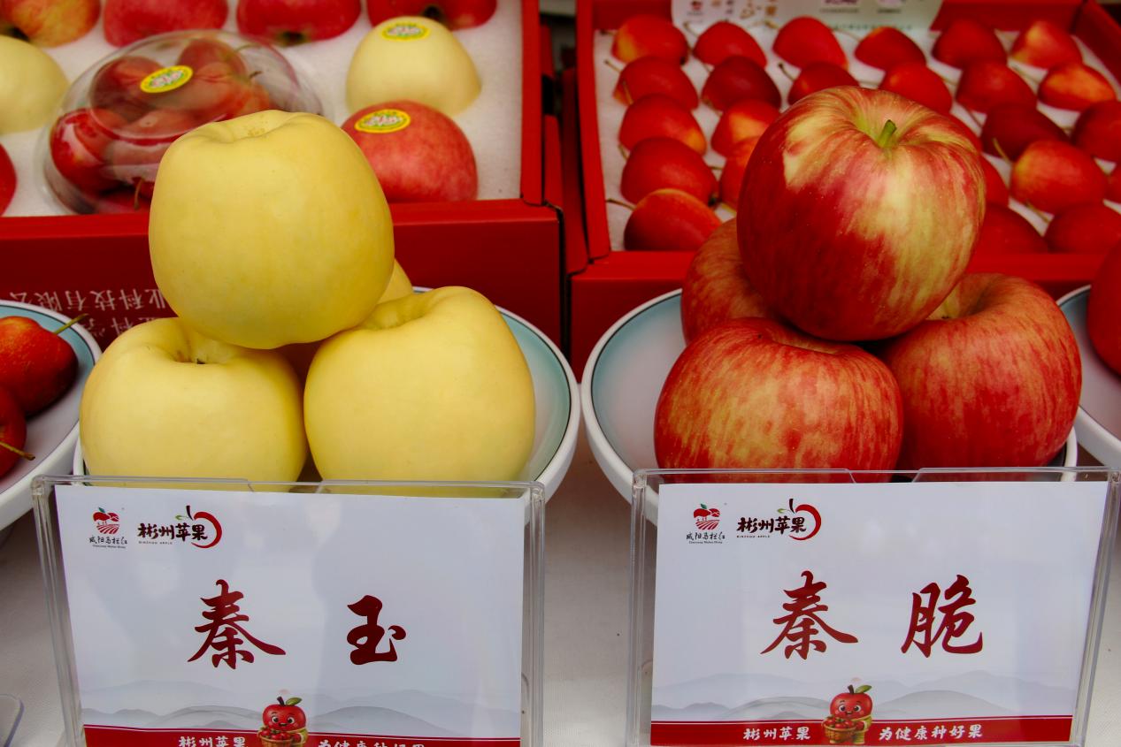 微信图片_20260921140150_452_27