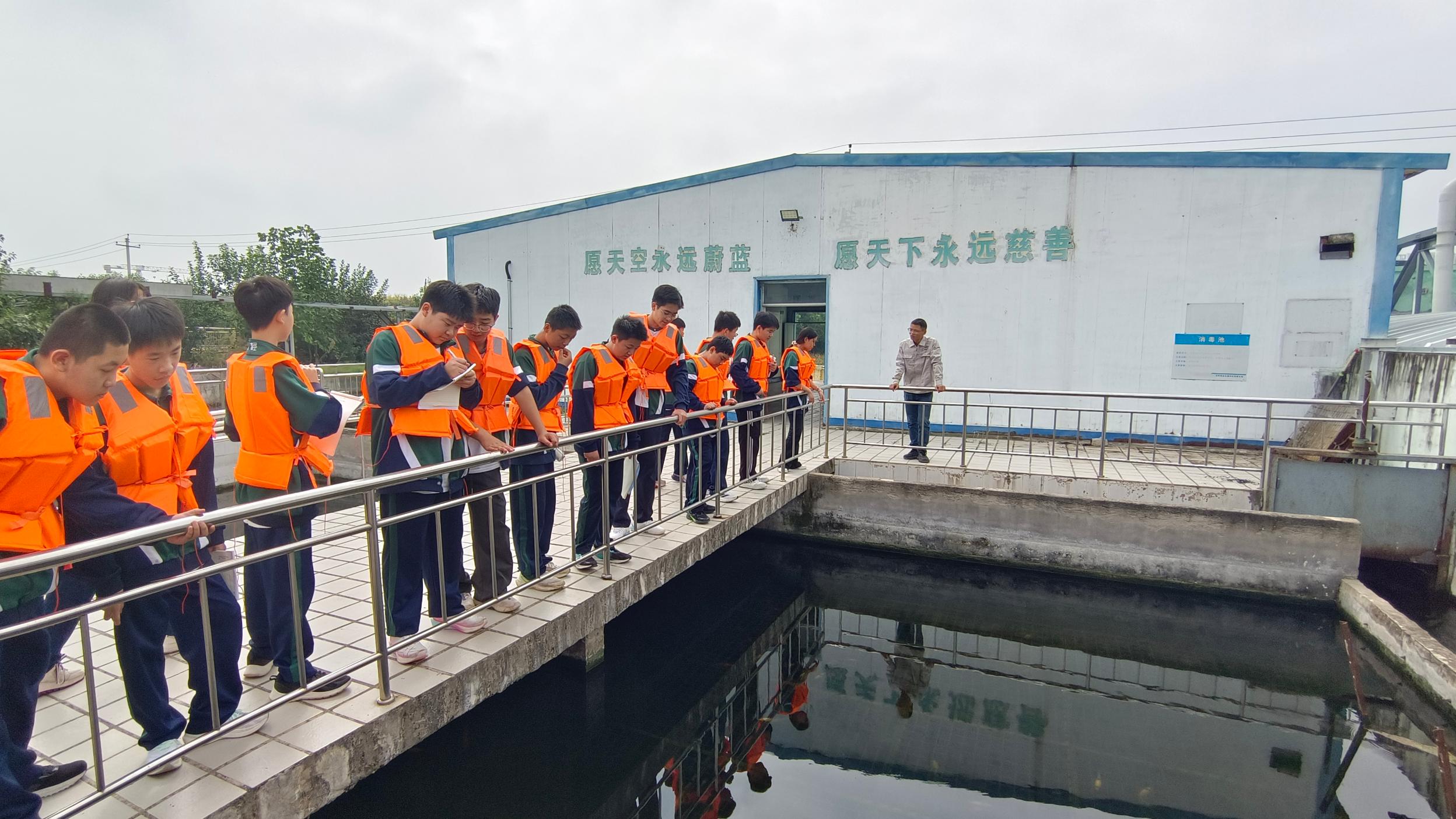 图片15