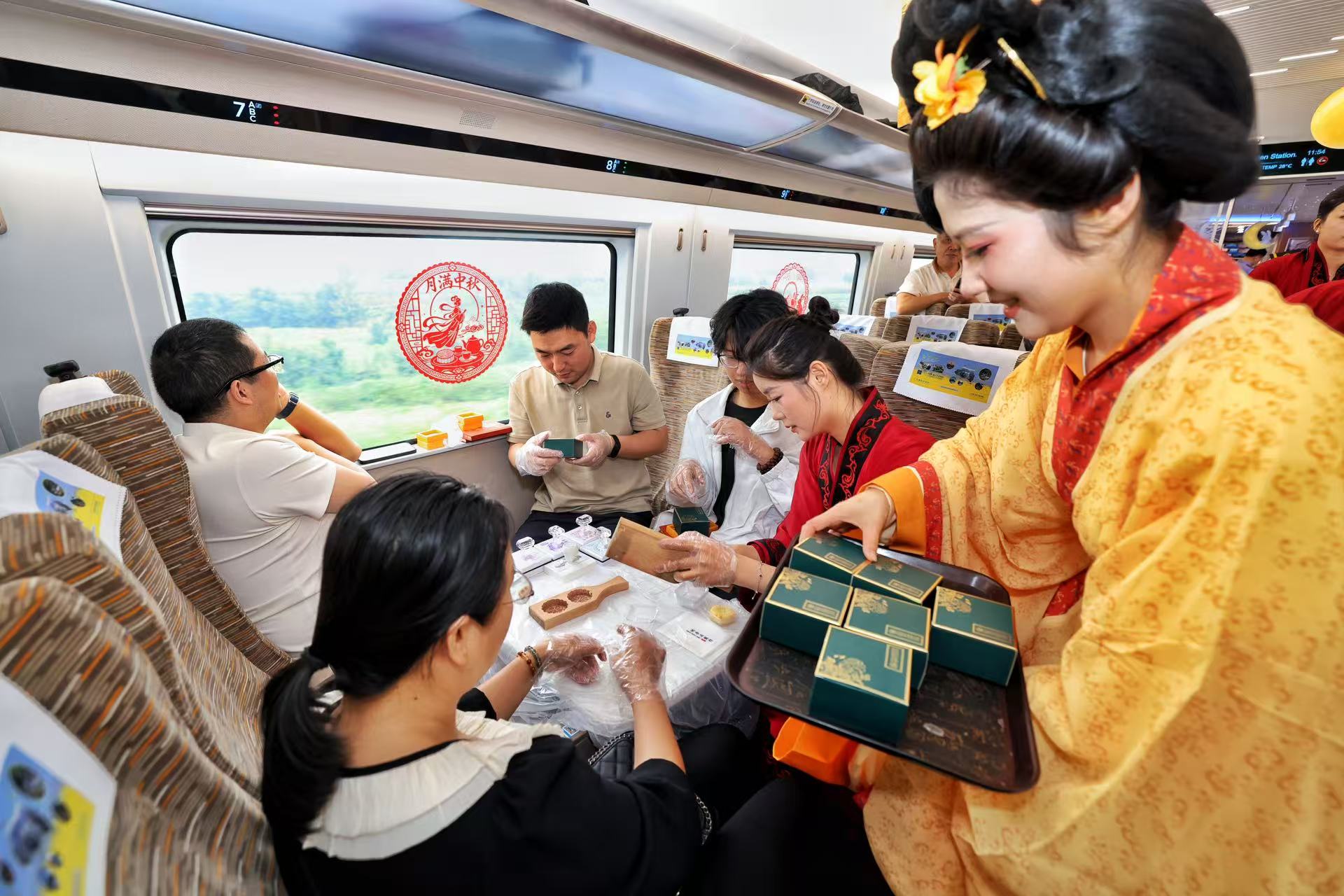 dachshund