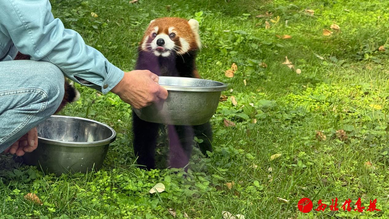微信图片_20261019080310_190_32