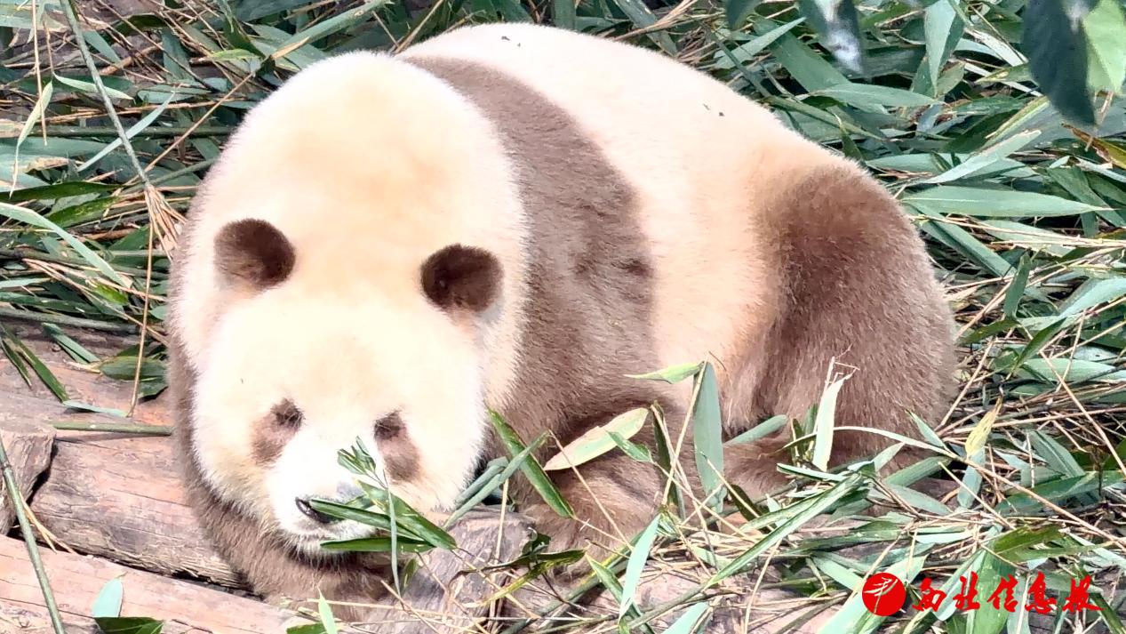 微信图片_20261019080310_194_32