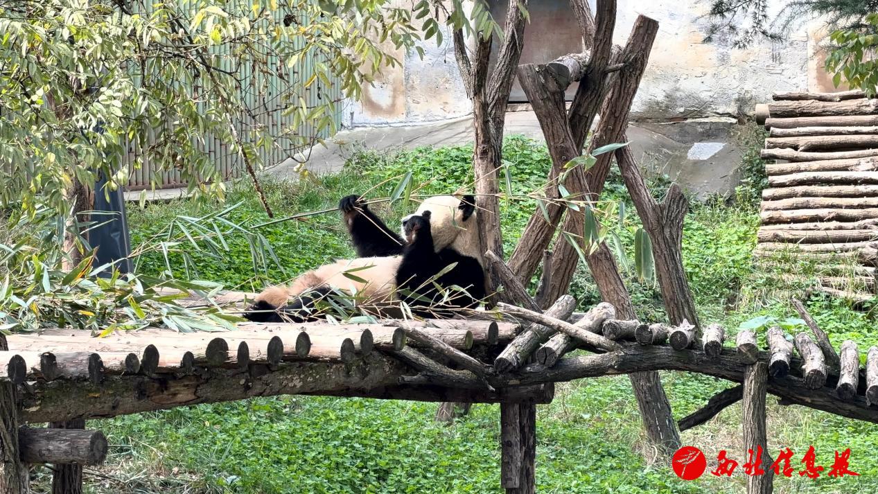 微信图片_20261019080310_189_32