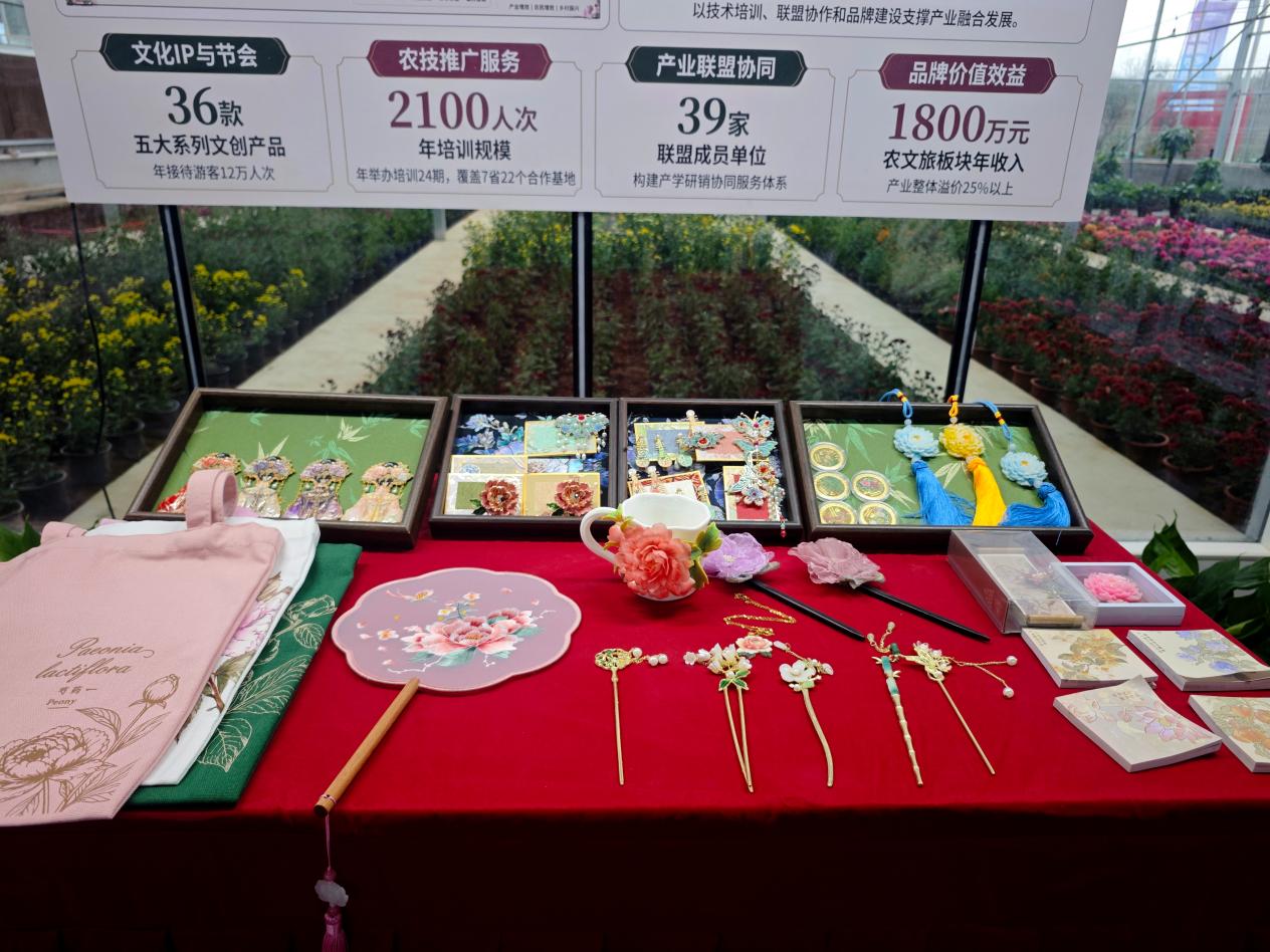 微信图片_20261028092819_683_27