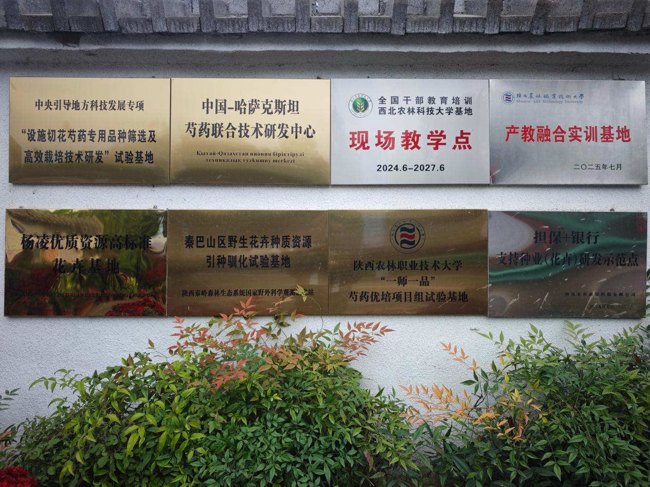 微信图片_20261028092811_679_27