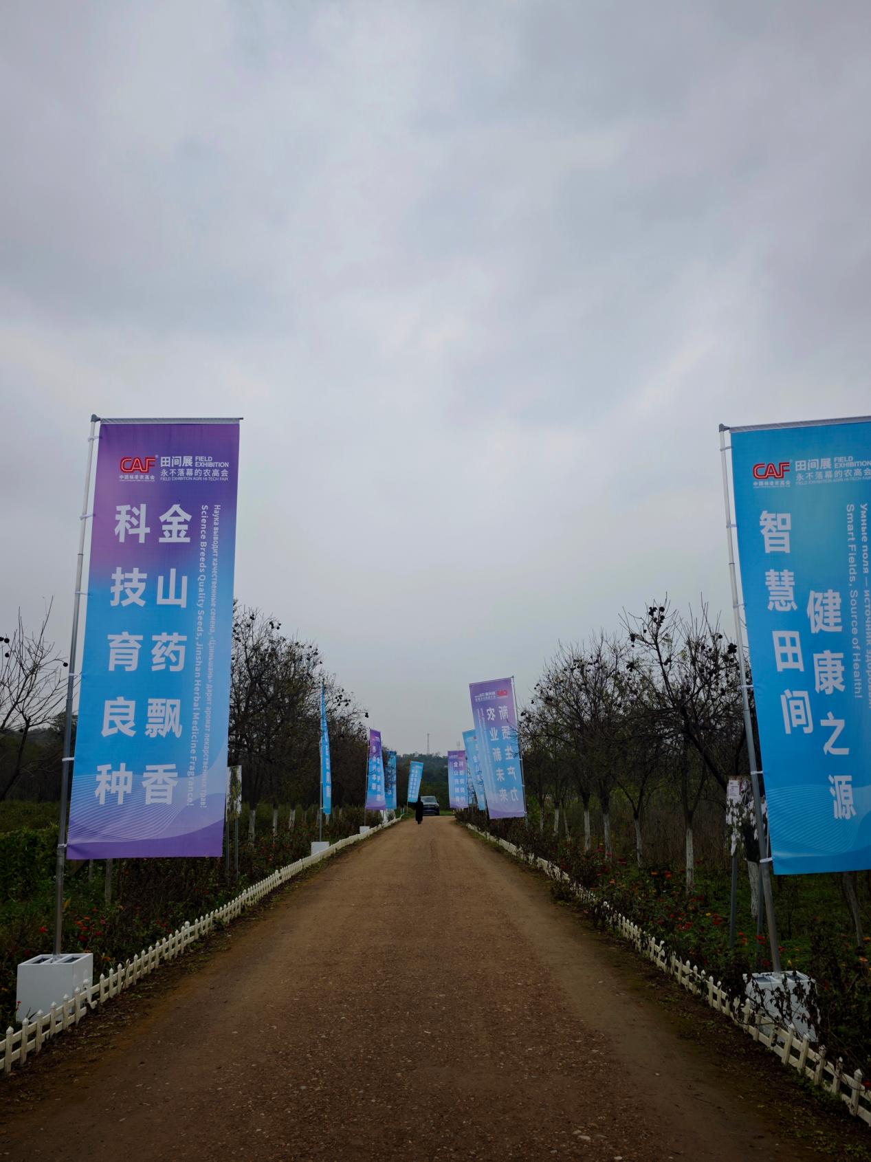 微信图片_20261028164606_709_27