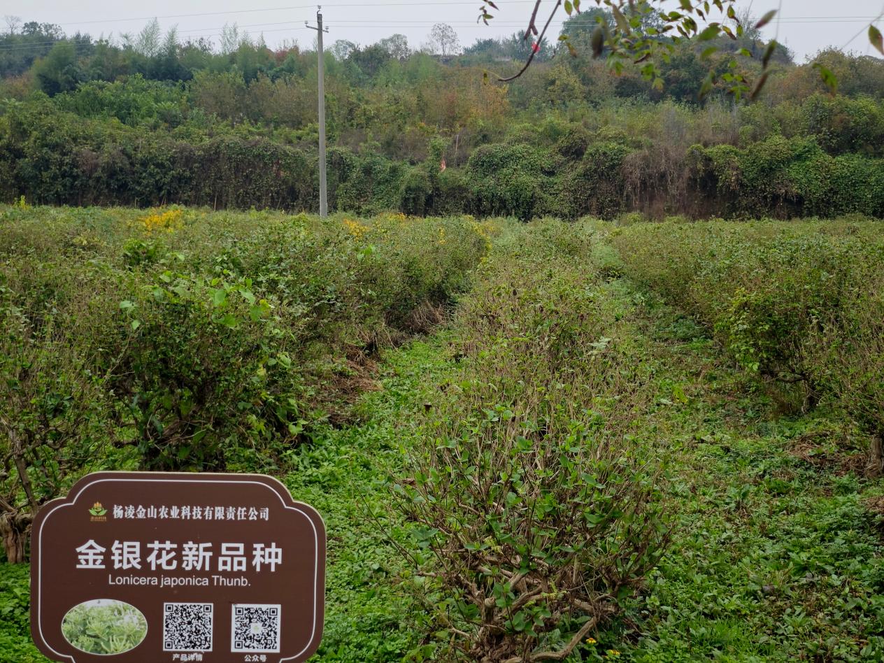 微信图片_20261028164040_702_27